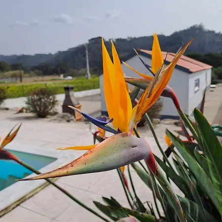 Вилла Villavie Costadeprata *