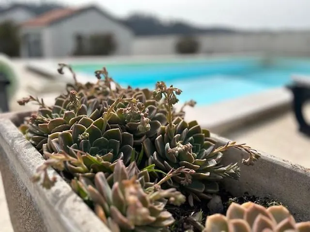 Villavie Costadeprata Alfeizerao