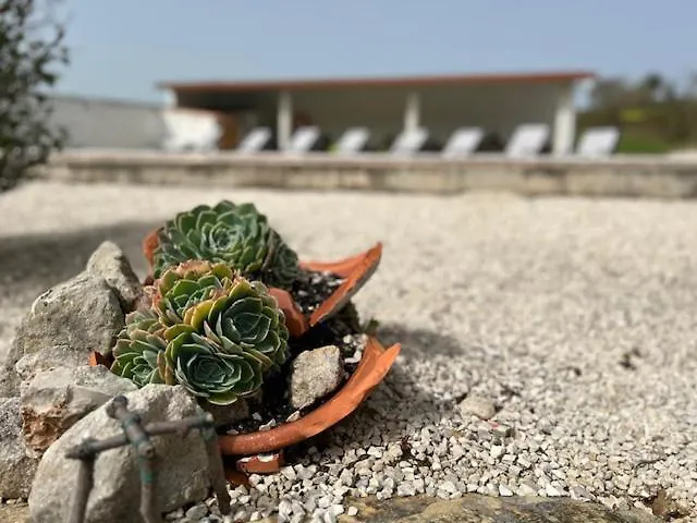 Вилла Villavie Costadeprata