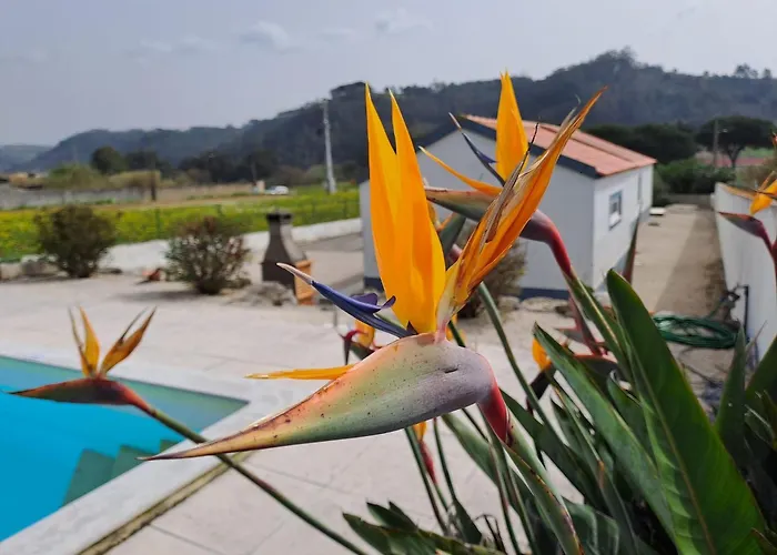 Вилла Villavie Costadeprata *